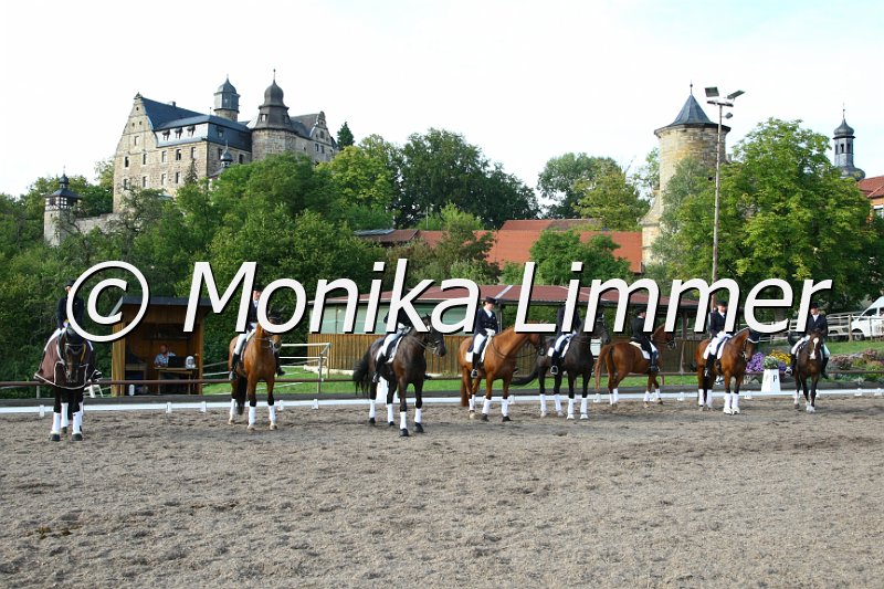 109M7155_Intermediaire I_DressS.JPG